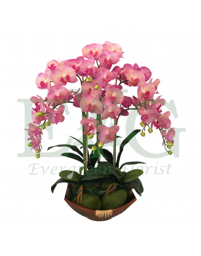 Orchid Phalaenopsis (Artificial)